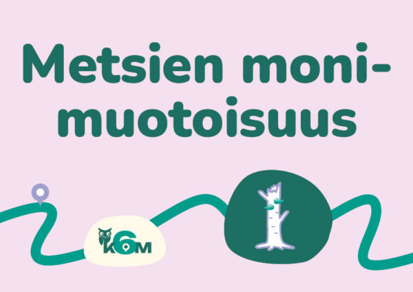 Aloituskuvat5