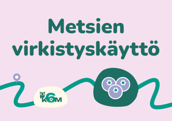 Aloituskuvat7